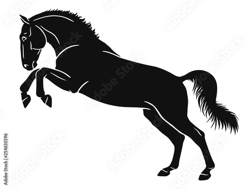 Graphic representation of a horse standing on hind legs.