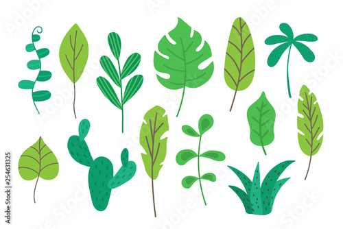 Tropical leaves set isolated on white background. Tropic foliage collection for decoration for cards, banner, poster, product packaging, apparel designs. Summer botany. Vector illustration