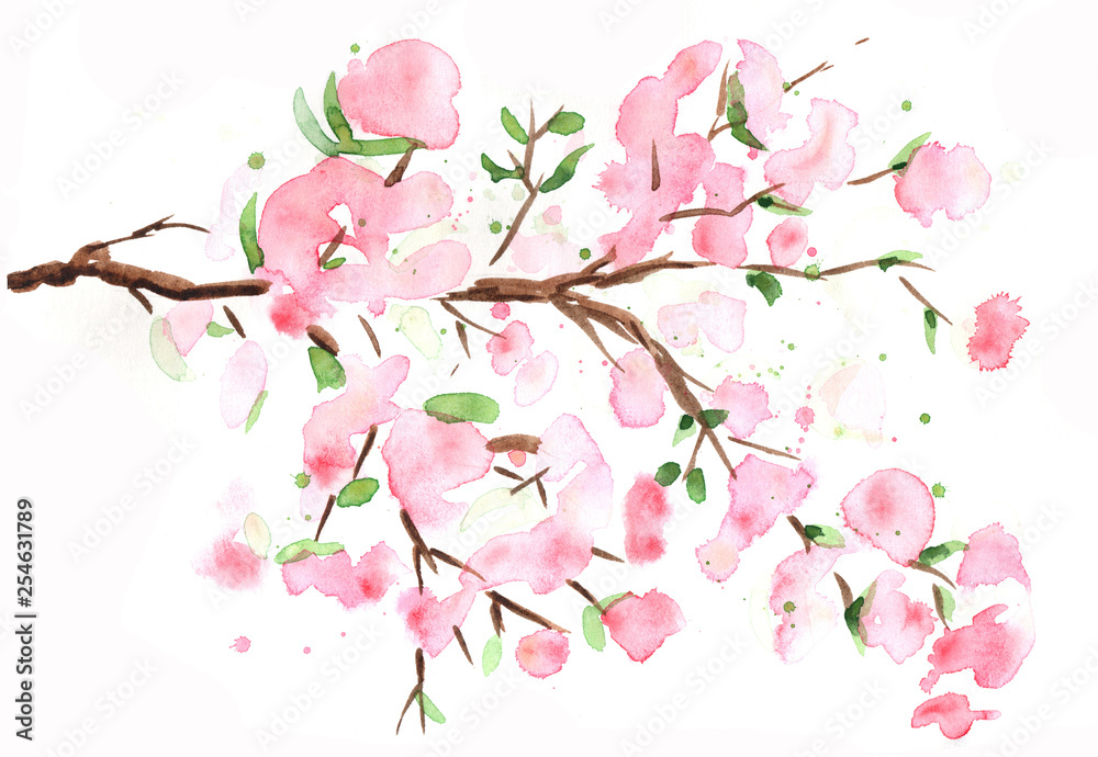 Fototapeta premium watercolor cherry branch in spring color