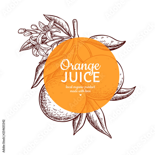 Orange label vector drawing. Citrus fruit engraved frame template. Hand drawn summer