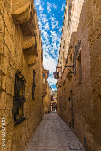Fototapeta Naklejka Na Ścianę i Meble -  Narrow street in the town of Mdina, Malta in sunny day