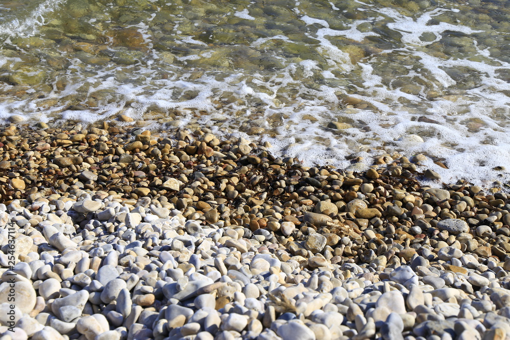 Piedras húmedas variadas en la playa Piedras húmedas variadas en la playa