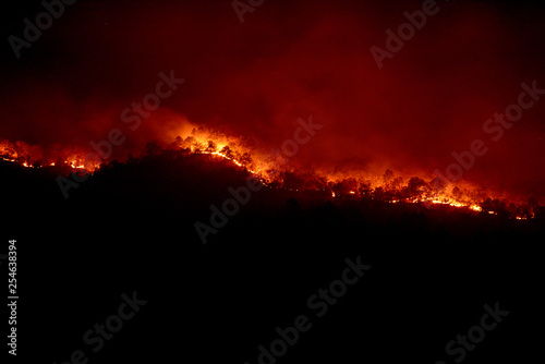 wildfire disaster - fire burning mountain in night time photo