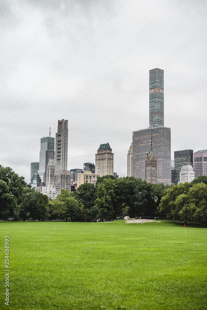 View on skyscrapers from Central Park in New York