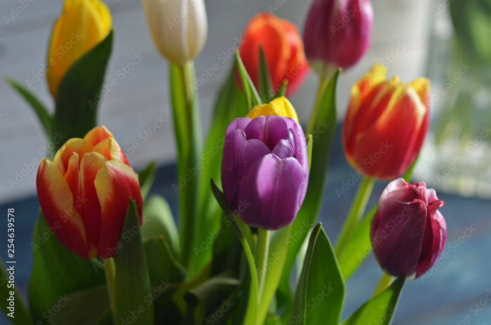 Bouquet of colorful tulips on a blue-white background Bouquet of colorful tulips on a blue-white background