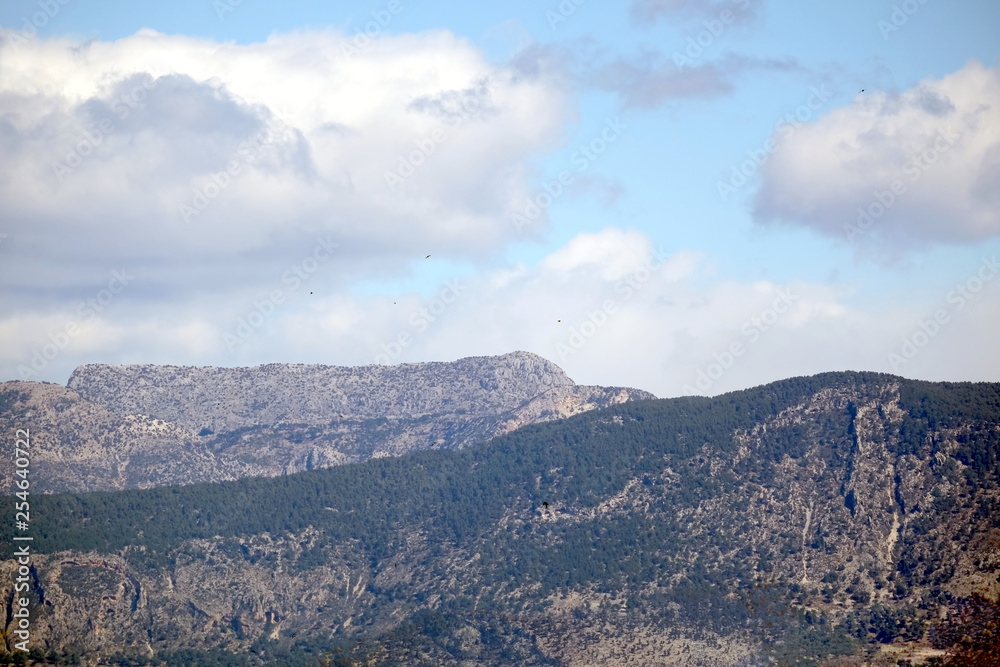 Beautiful natural landscape with high mountains with rocks and  lot of green trees under blue sky and white clouds on sunny day