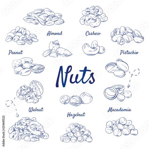 Retro doodle set of Nuts - Food, Almond, Cashew, Pistachio, Macadamia, Hazelnut, Walnut, Peanut, Snack, healthy, hand-drawn. Vector sketch illustration isolated over white background.