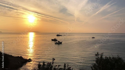 Fishing boats at sunset with seagulls.