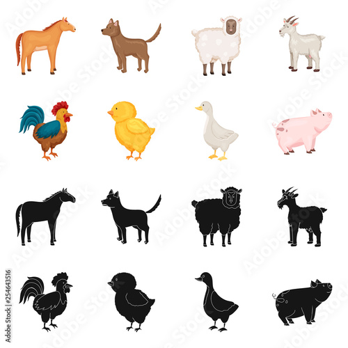 Vector illustration of breeding and kitchen  logo. Set of breeding and organic  stock symbol for web. © pandavector