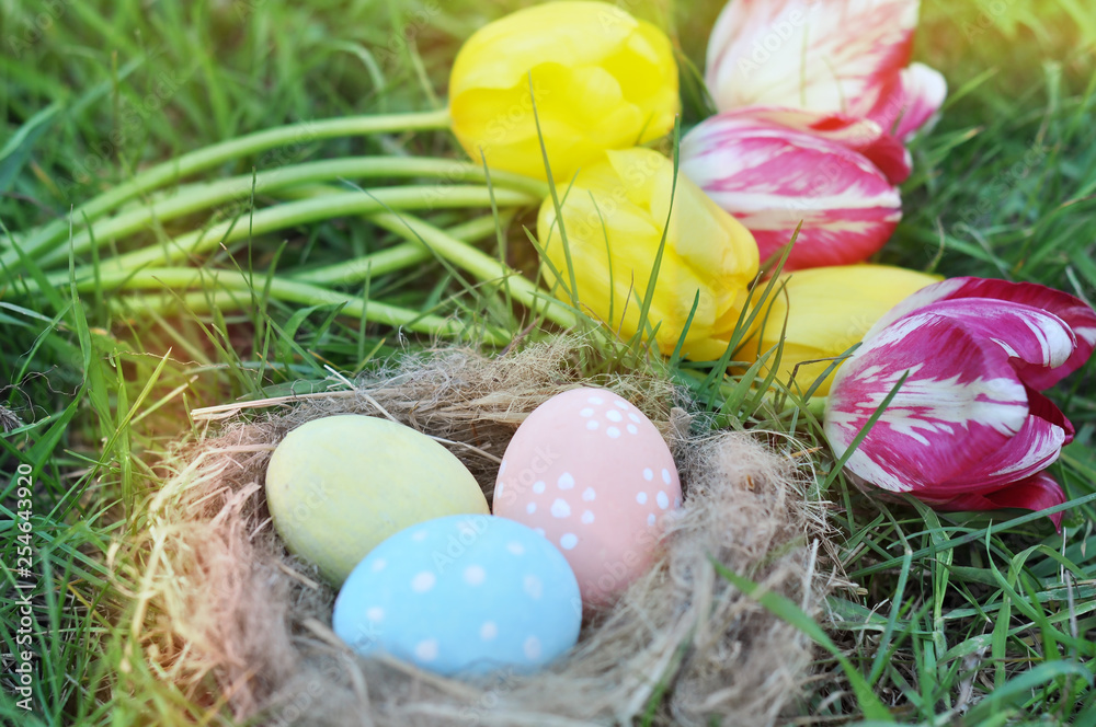 Fototapeta premium painted Easter eggs in a nest on green grass and a bouquet of tulips, an Easter card, a festive concept