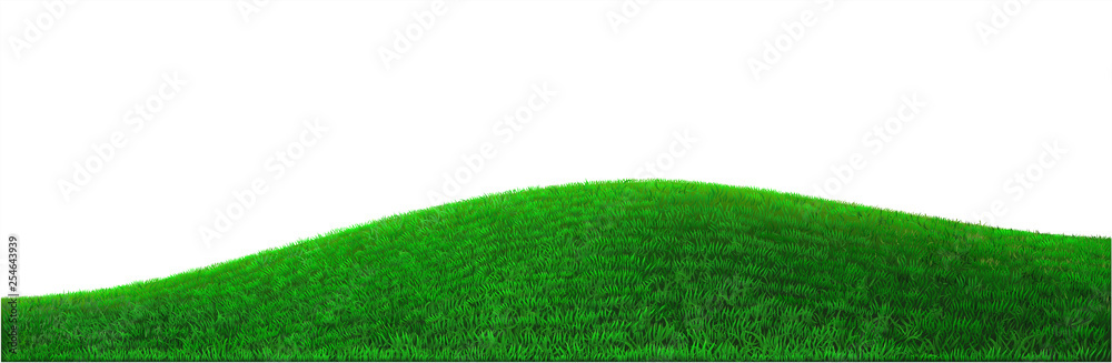 Vector green hill - obrazy, fototapety, plakaty 