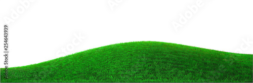 Vector green hill