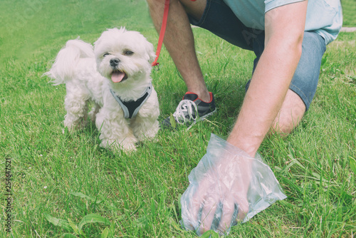 Picking up dog poop