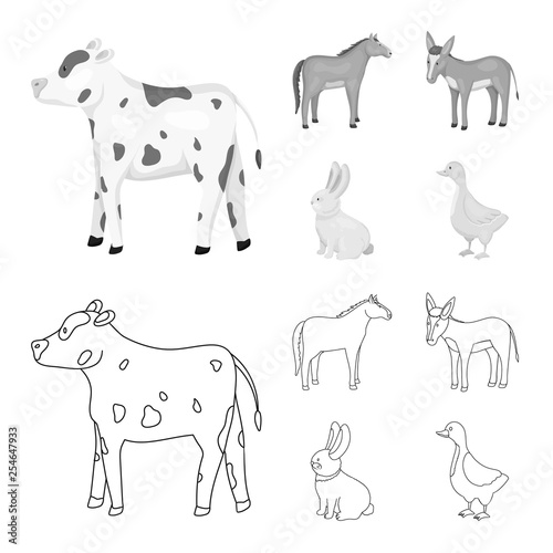 Isolated object of breeding and kitchen icon. Set of breeding and organic vector icon for stock. © pandavector