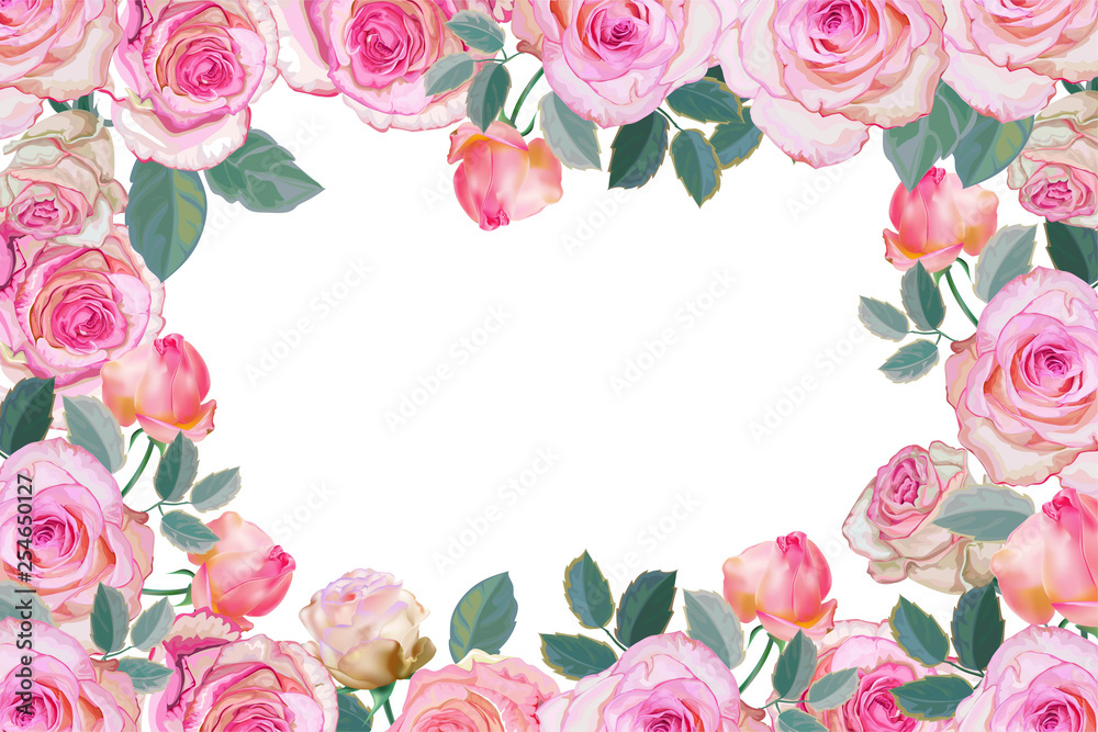 Pink rose frame vector illustration Pink rose frame vector illustration