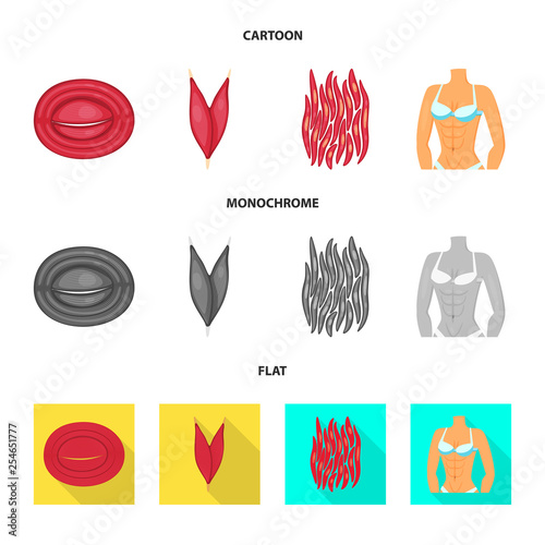 Isolated object of fiber and muscular logo. Set of fiber and body  vector icon for stock.