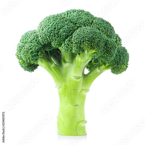 Delicious fresh broccoli, isolated on white background photo