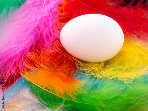 An egg among many feathers dyed in various colors