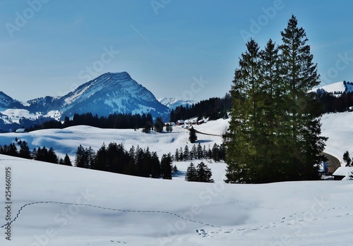 Winterlandschaft im Gebirge