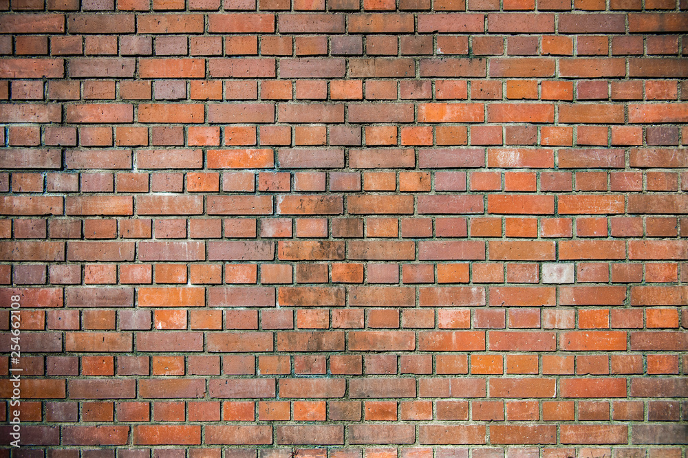 Fototapeta premium Ceglana ściana