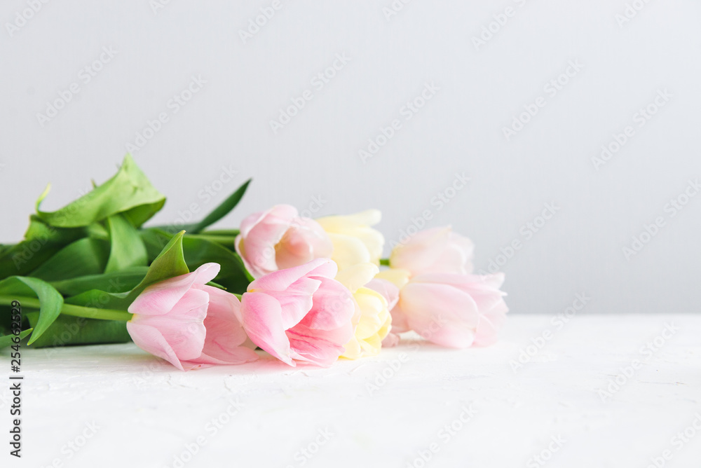 Bouquet of pink tulips on white background. Side view, copy space. Spring card