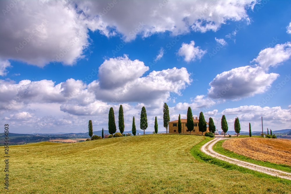 Cypress trees and meadow with typical tuscan house.