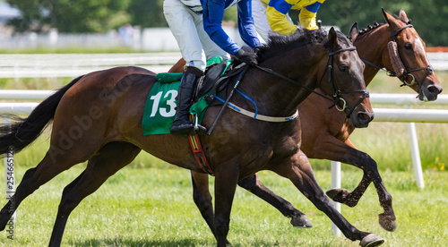 Close-up action on two galloping race horses competing in a race