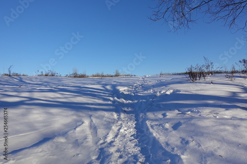 rural winter landscape with a field snow and the blue sky