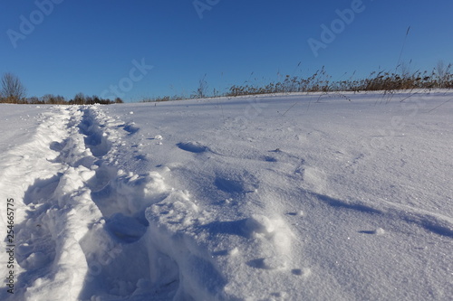 rural winter landscape with a field snow and the blue sky © Aleksandr