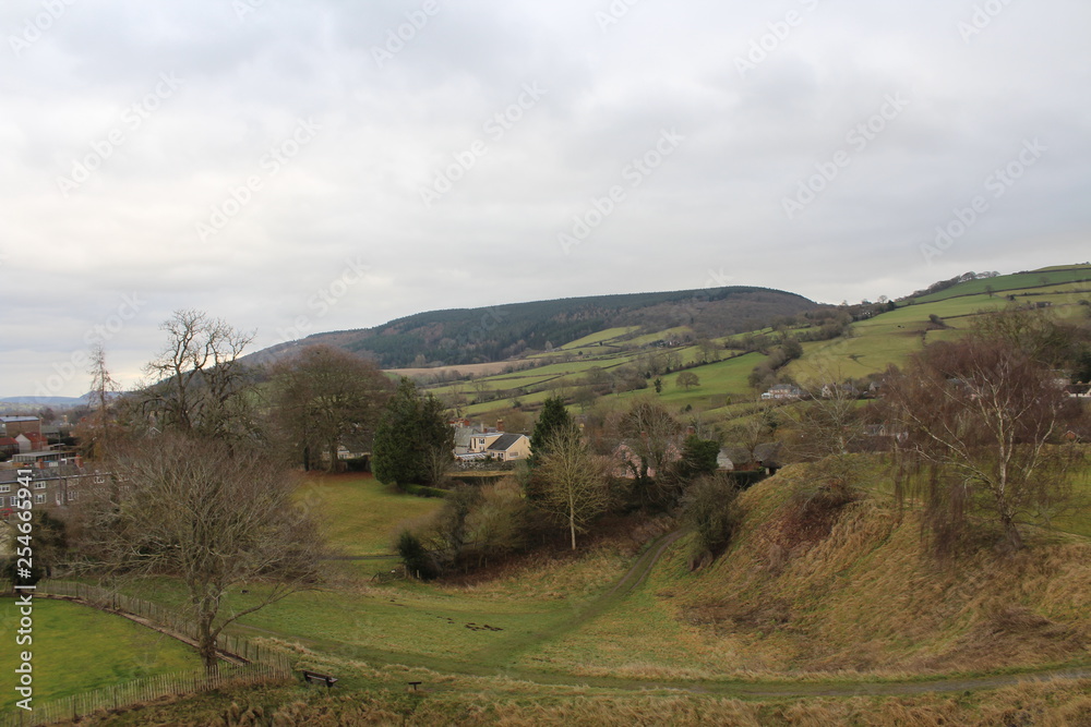 landscape in the mountains