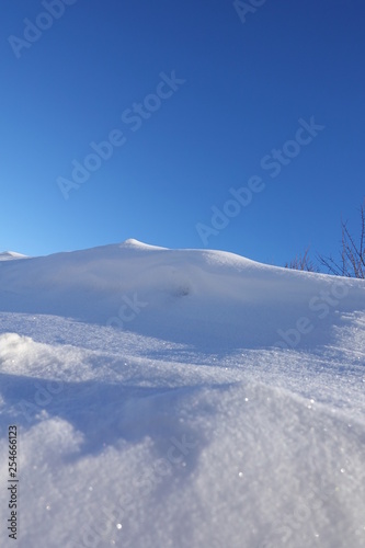 rural winter landscape with a field snow and the blue sky © Aleksandr
