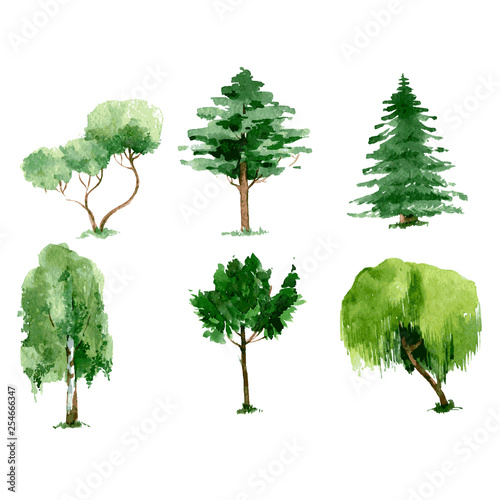 Set of green watercolor trees. hand drawn illustration isolated on white background. Vector