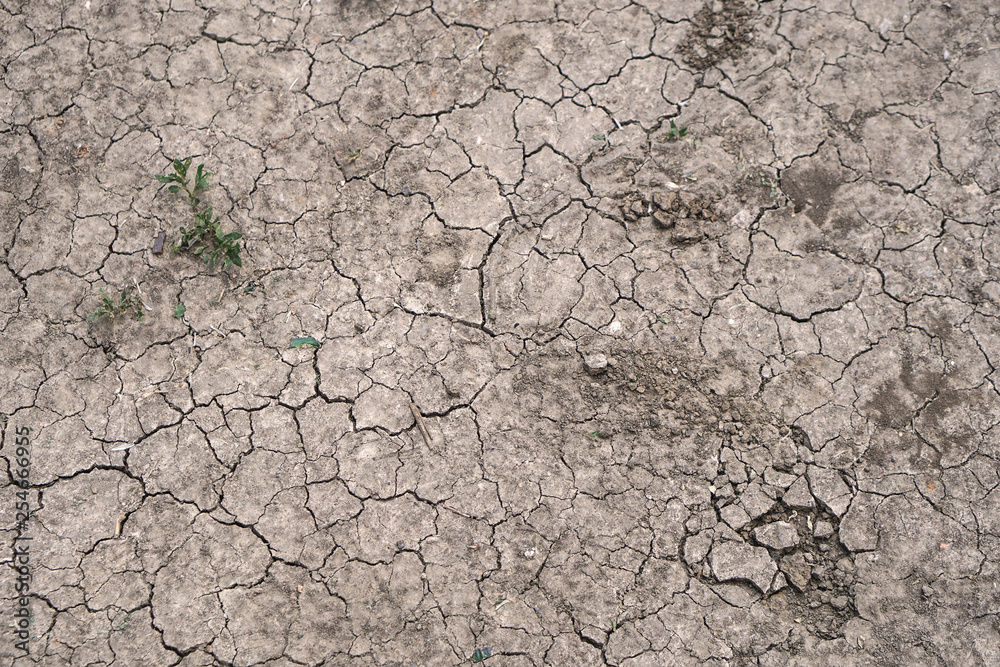 Background texture cracks on the ground. Drought is a desert region disaster. Stock photo Background texture cracks on the ground. Drought is a desert region disaster. Stock photo