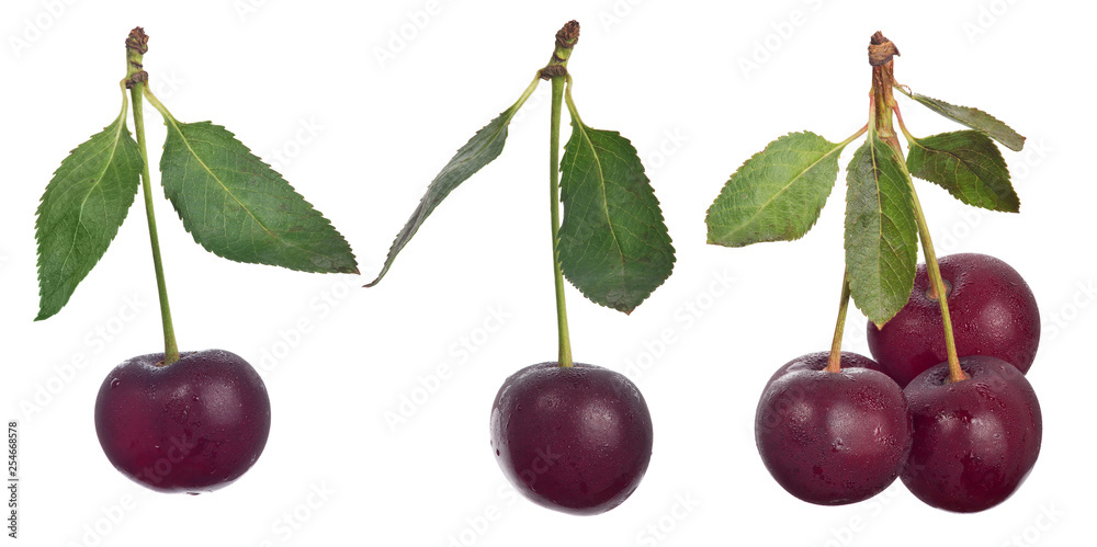 group of ripe cherries on white group of ripe cherries on white