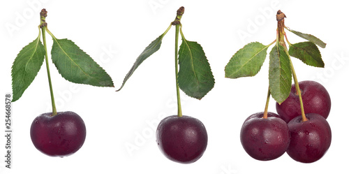 group of ripe cherries on white