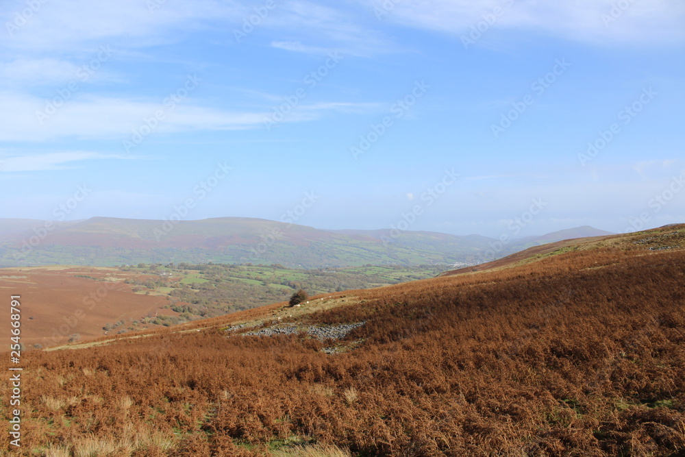 Mountain Landscape