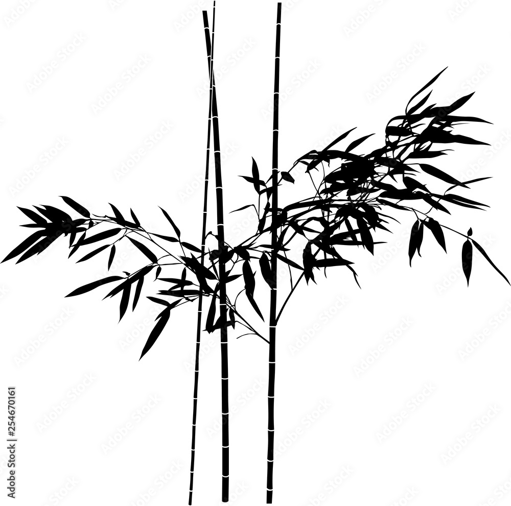 black isolated bamboo leaves on three straight stems