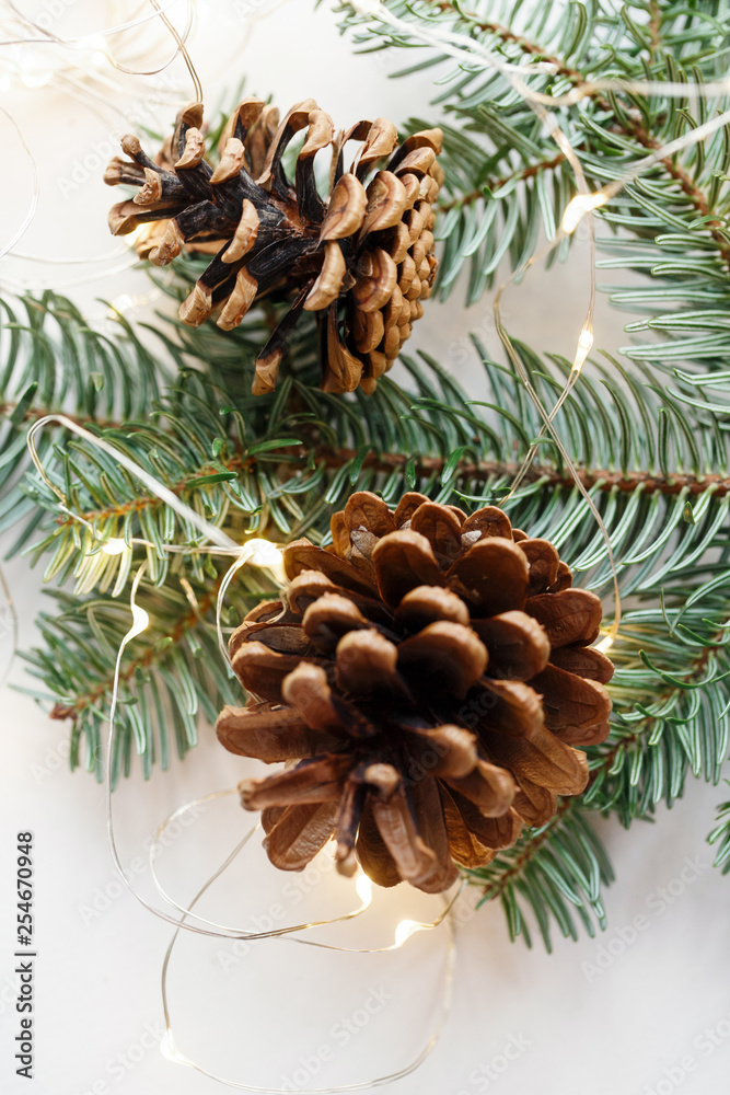Two big brown cones on the fir branch, around the garland Two big brown cones on the fir branch, around the garland