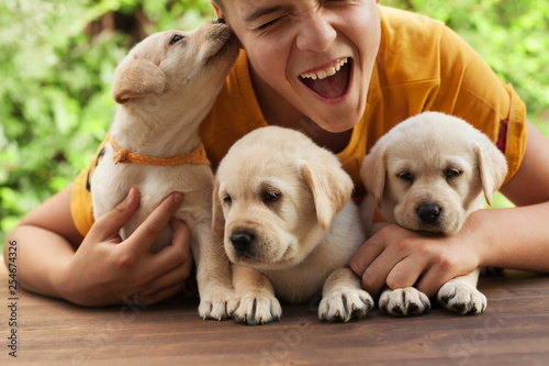 Teenager boy holding his cute labrador puppies, having fun  and enjoy their company photo