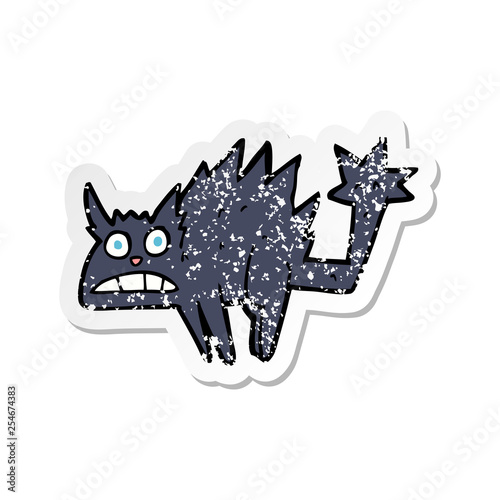 scary cat
