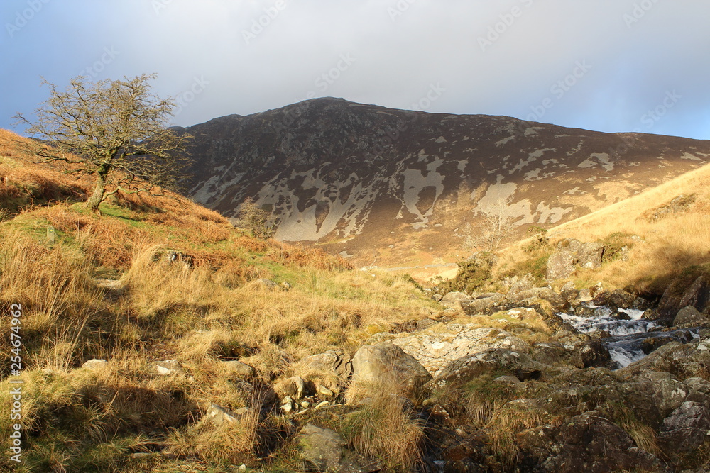 Obraz premium Mountain Landscape