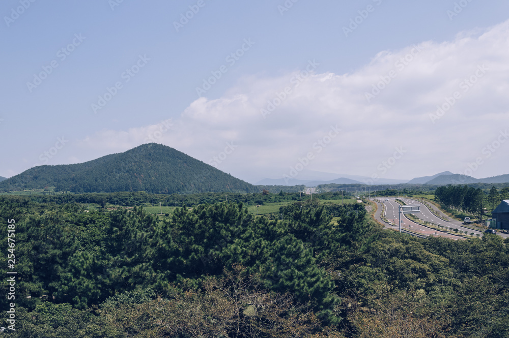 view of mountain and forest near road