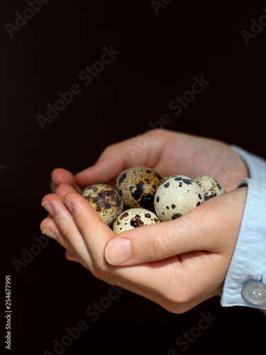 Young girl holding quail eggs as a symbol of Easter