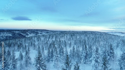Top view of the snowy taiga in northern Finland. beautiful, lonely winter forest