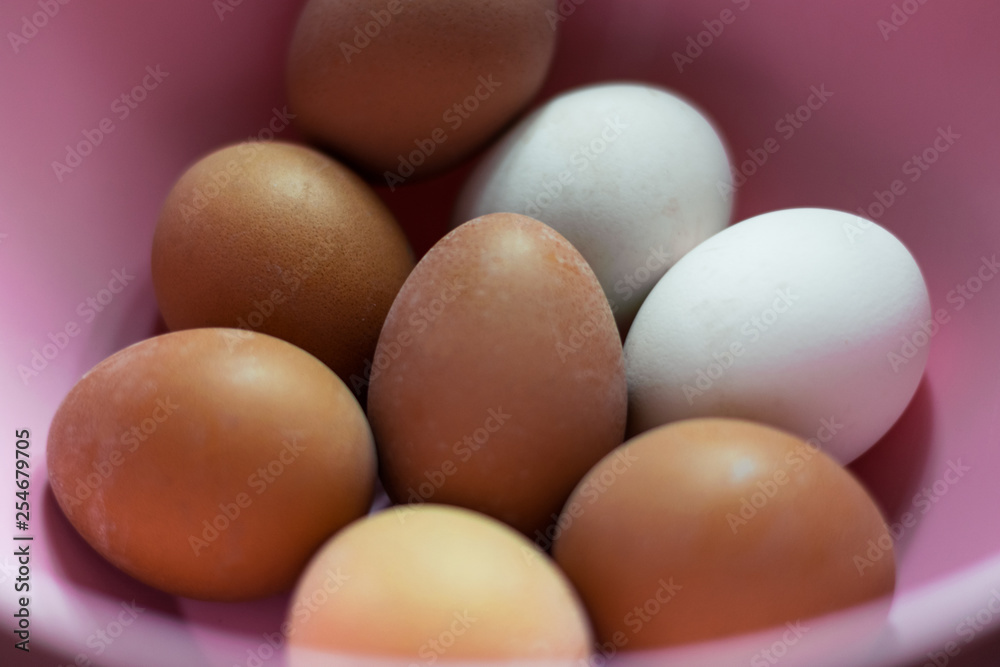 Hard boiled chicken eggs Hard boiled chicken eggs