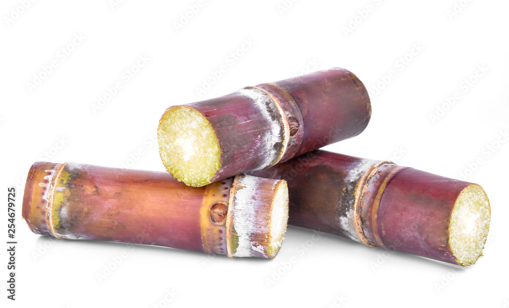 sugarcane  isolated on white background