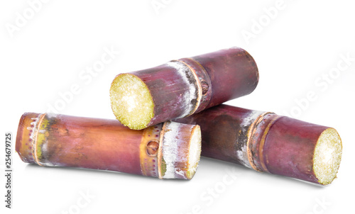 sugarcane isolated on white background