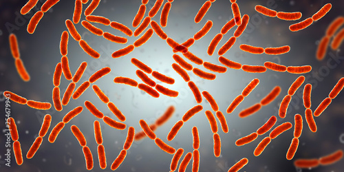 Bacteria Lactobacillus, 3D illustration. Normal flora of small intestine, lactic acid bacteria. Probiotic bacterium photo