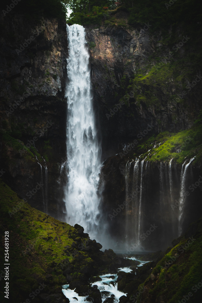Obraz premium waterfall in the forest