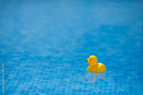 Obraz na plátně yellow rubber duck in blue swimming pool